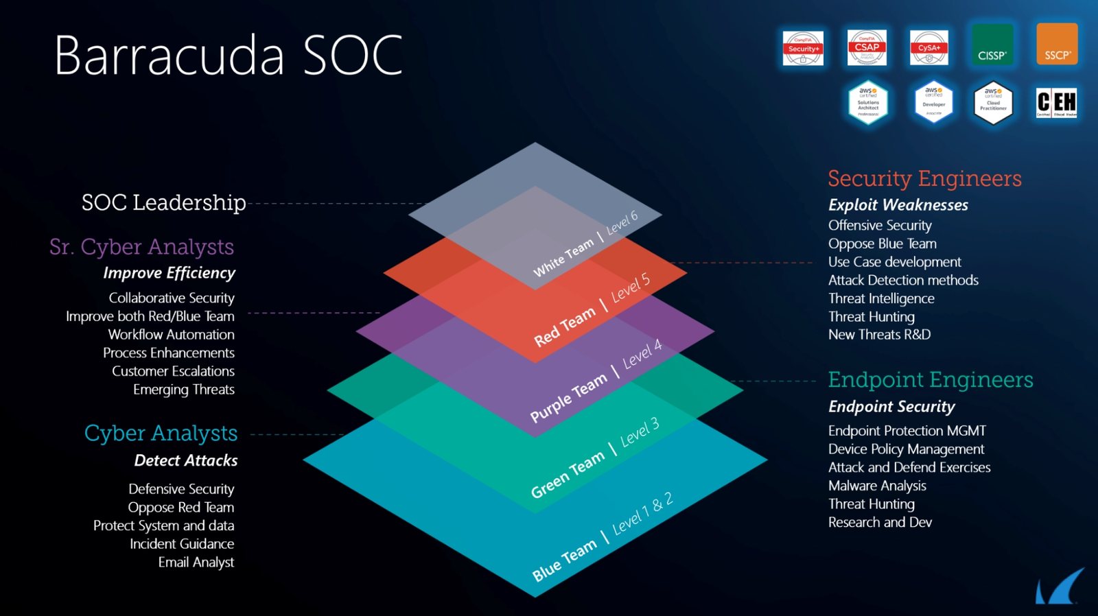 Opbouw van het Barracuda SOC: SOC Leadership, Cyber Analysts en Security Engineers, verdeeld over een Blue, Green, Purple, Red en White Team